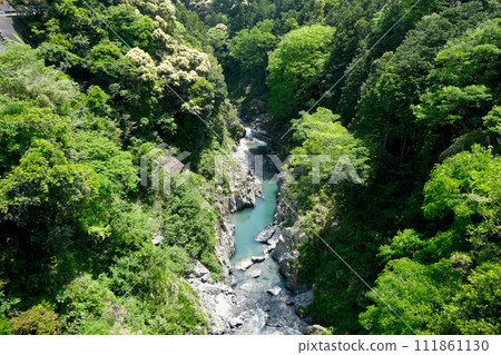 三重縣瀧郡大台町菅鄉_從瀧見橋南面眺望1_2023年5月 三重縣瀧郡大台町菅鄉_從瀧見橋南面眺望1_2023年5月 111861130