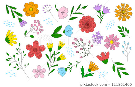Big set with different flowers and leaves,... - Stock Illustration ...
