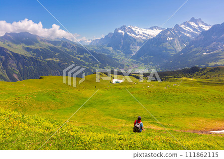 Grindelwald valley, Switzerland Grindelwald valley, Switzerland 111862115
