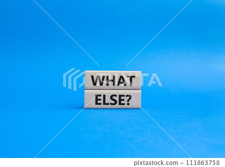 What else symbol. Concept word What else on wooden blocks. Beautiful blue background. Business and What else concept. Copy space What else symbol. Concept word What else on wooden blocks. Beautiful blue background. Business and What else concept. Copy space 111863758