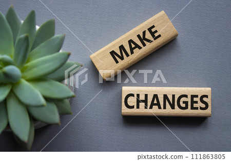 Make changes symbol. Wooden blocks with words Make changes with succulent plant. Beautiful grey background. Business and Make changes concept. Copy space. Make changes symbol. Wooden blocks with words Make changes with succulent plant. Beautiful grey background. Business and Make changes concept. Copy space. 111863805