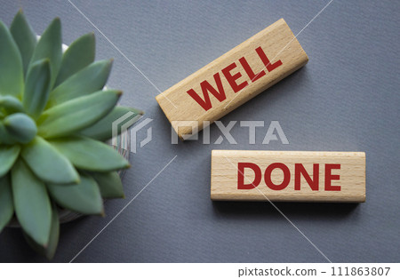 Well done symbol. Wooden blocks with words Well done. Beautiful grey background with succulent plant. Business and Well done concept. Copy space. Well done symbol. Wooden blocks with words Well done. Beautiful grey background with succulent plant. Business and Well done concept. Copy space. 111863807
