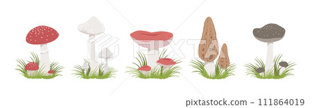 Forest Mushroom with Stem and Cap Growing in Grass Vector Set Forest Mushroom with Stem and Cap Growing in Grass Vector Set 111864019