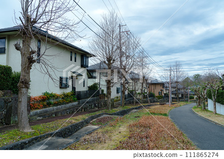 春雨交加的奈良市街頭，一排梧桐樹等待明媚的陽光① 111865274