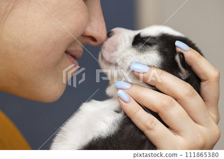 Tender Moment with Newborn Puppy 111865380