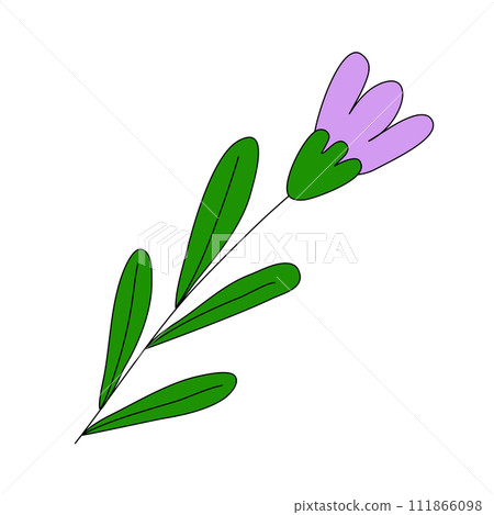 Single purple flower, spring design vector Single purple flower, spring design vector 111866098