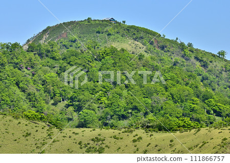 The Tanzawa main vein of fresh greenery from Mt. Tanzawa in the Tanzawa Mountains: Mt. Hirugatake, Onigaiwa-no-kashira, and Houki Sugisawa-no-kashira 111866757