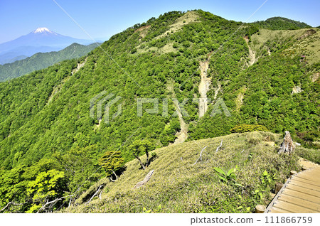 從丹澤山脈的丹澤山眺望初夏的富士山和丹澤主山脈的山脈。 111866759