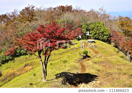 秋天的丹澤山、丹澤本線、紅葉的小禦嶽山頂 111866823
