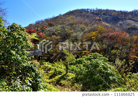 秋天的丹澤山、紅葉的白岳 秋天的丹澤山、紅葉的白岳 111866825