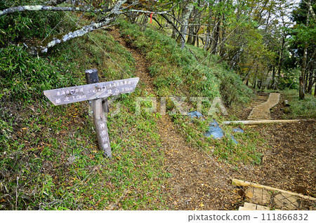 Tanzawa Road - Hatchosaka no Kashira branch of Tanzawa main vein Tanzawa Road - Hatchosaka no Kashira branch of Tanzawa main vein 111866832