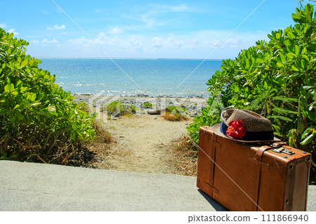 沖繩、石垣島、白保海岸、藍色的大海和樹幹 沖繩、石垣島、白保海岸、藍色的大海和樹幹 111866940