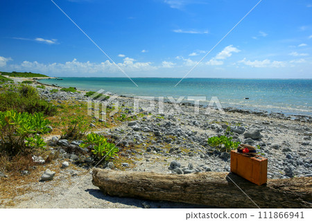 Okinawa, Ishigaki Island, Shiraho Coast, blue sea and trunks 111866941
