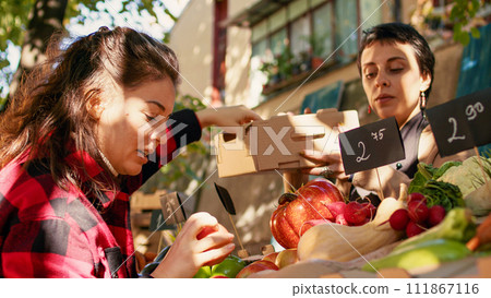 Woman working at farmers market stand helping customer with various organic fruits and veggies locally grown. Female vendor selling healthy food natural produce, local stall holder. 111867116
