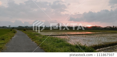 Rice farming on the edge of the mountain and beautiful roads with beautiful clouds in the afternoon and evening 111867507