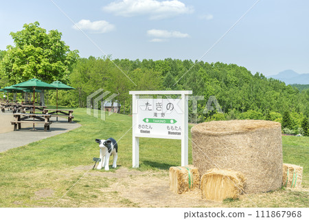 Commemorative photo point Takino Suzuran Hills Park Sapporo City 111867968