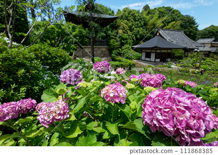 港北新城中心南邊的繡球寺 111868385