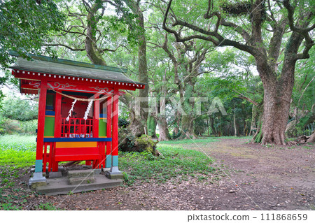 [大佑牟圖神社參道上的千本樟樹] 鹿兒島縣日置市吹上町中原 111868659