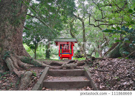 [大佑牟圖神社參道上的千本樟樹] 鹿兒島縣日置市吹上町中原 111868669