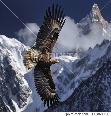 一個冬日,一隻雄鷹在天空翱翔 一個冬日,一隻雄鷹在天空翱翔 111869011
