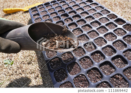 Plug tray 128 holes 03 111869442