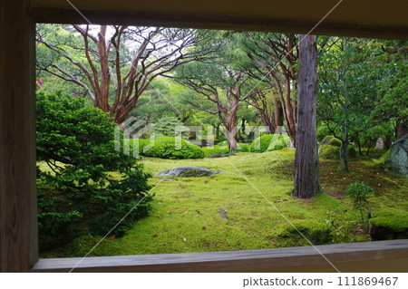 雨後牡丹園風景 111869467
