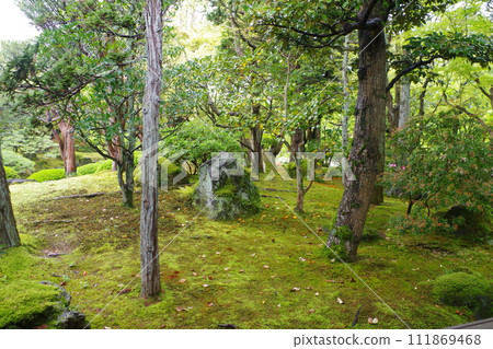 雨後牡丹園風景 雨後牡丹園風景 111869468