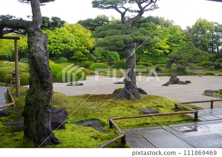 雨後牡丹園風景 雨後牡丹園風景 111869469