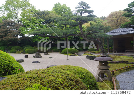 雨後牡丹園風景 雨後牡丹園風景 111869472