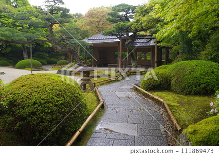Scenery of rainy peony garden Scenery of rainy peony garden 111869473