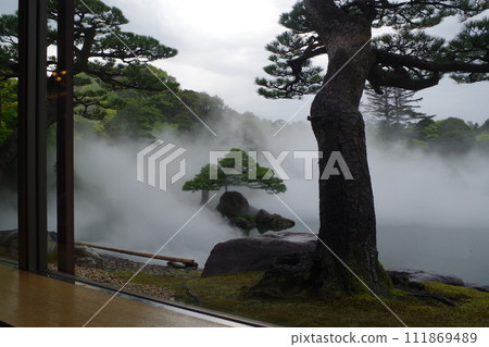 雨後牡丹園風景 111869489