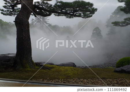 雨後牡丹園風景 雨後牡丹園風景 111869492
