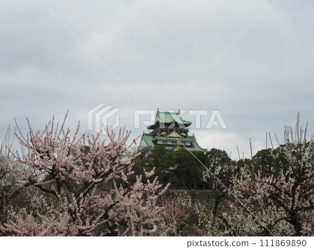 Osaka Castle Osaka Castle 111869890