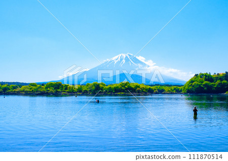 Mt. Fuji seen from Lake Shoji (May) 111870514
