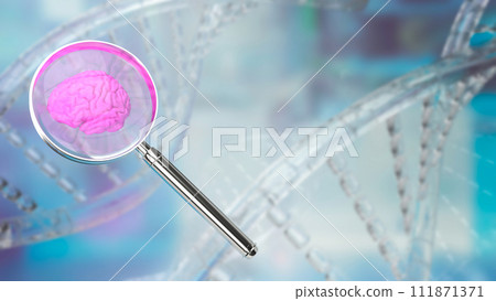 The magnifying glass and Brain for sci or medical. Concept 3d rendering. 111871371