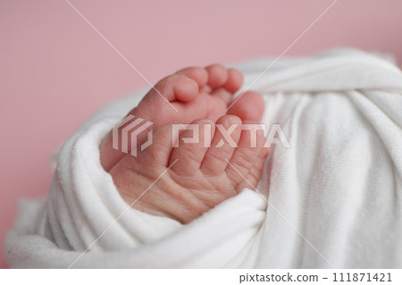 The tiny foot of a newborn baby. Soft feet of a new born in a white blanket. Close up of toes, heels and feet of a newborn. Macro photography on the pink background.  111871421