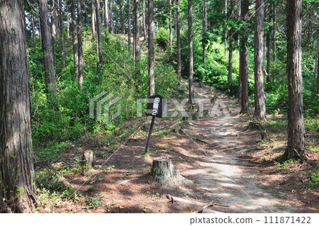 Matsudaira Castle Ruins 111871422