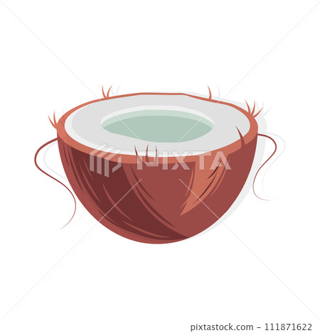 Isolated Half fresh coconut in cartoon styles on a transparent background. Sticker. Icon. Isolate 111871622