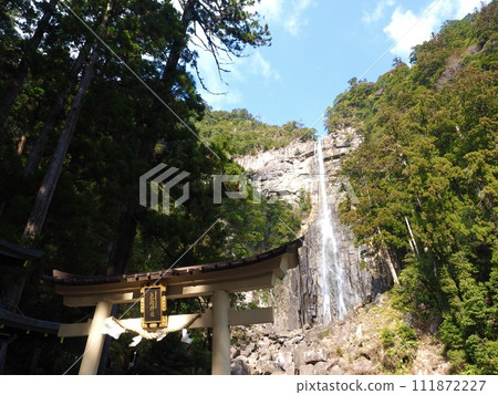 Nachi's waterfall 111872227