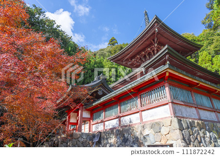 Takao, Kyoto in autumn, Jingoji Temple, Tahoto pagoda covered in autumn leaves 111872242