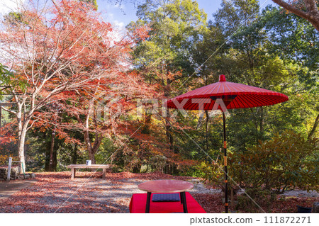 京都高雄的秋天，神護寺的道路、硯台、凳子和戶外棗傘 111872271