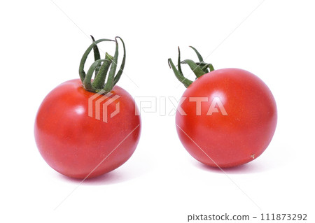 [Mini tomatoes] (depth composition) 111873292