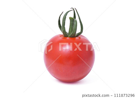 [Mini tomatoes] (depth composition) 111873296