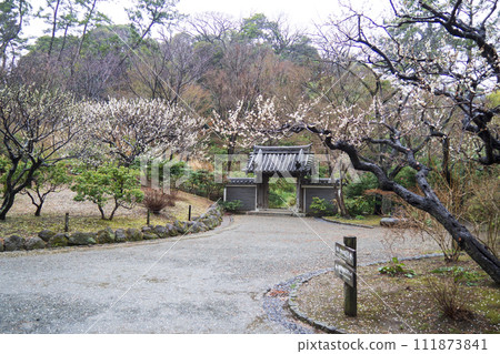 Winter at Sankeien Garden in Honmoku, Naka Ward, Yokohama City, Kanagawa Prefecture Winter at Sankeien Garden in Honmoku, Naka Ward, Yokohama City, Kanagawa Prefecture 111873841