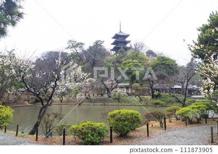 Winter at Sankeien Garden in Honmoku, Naka Ward, Yokohama City, Kanagawa Prefecture 111873905