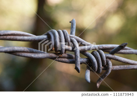 Close-up of painful-looking barbed wire 111873943