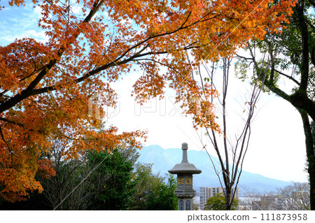 鹿兒島的秋天影像 111873958