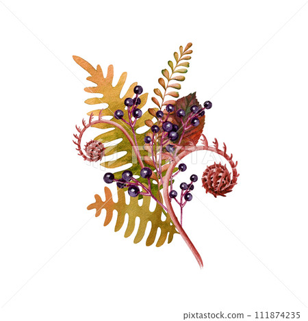 Autumn floral decoration with fallen leaves and berries. Watercolor illustration. Vintage style autumn elegant decor element in warm colors. Isolated on white background Autumn floral decoration with fallen leaves and berries. Watercolor illustration. Vintage style autumn elegant decor element in warm colors. Isolated on white background 111874235