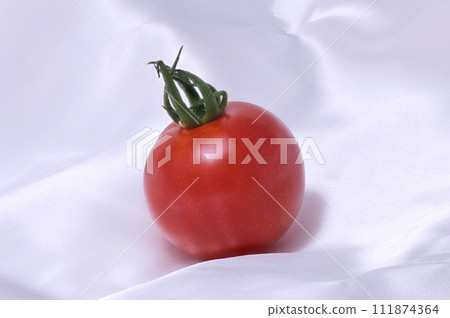 [Mini tomatoes] (depth composition) 111874364