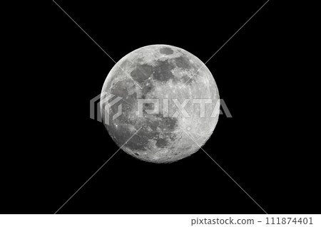 2023 年 3 月的蟲月 2023 年 3 月的蟲月 111874401